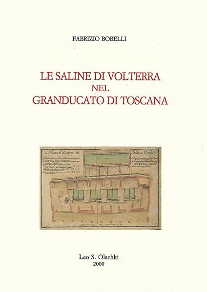 Le saline di Volterra nel Granducato di Toscana - Fabrizio Borelli - copertina