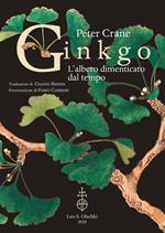 Ginkgo. L'albero dimenticato dal tempo