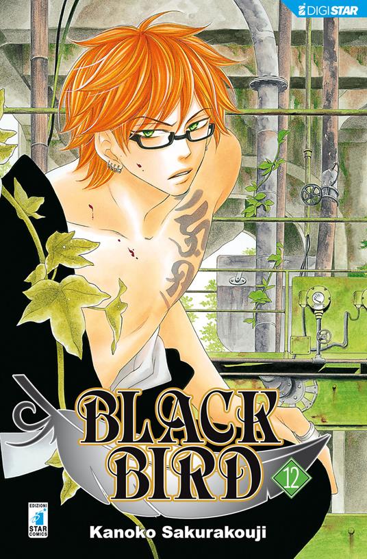 Black bird. Vol. 12 - Kanoko Sakurakouji - ebook