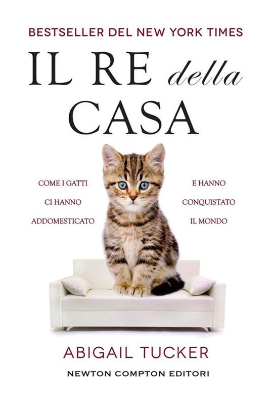 I gatti prevedono l'arrivo di un ospite in casa? - La Stampa