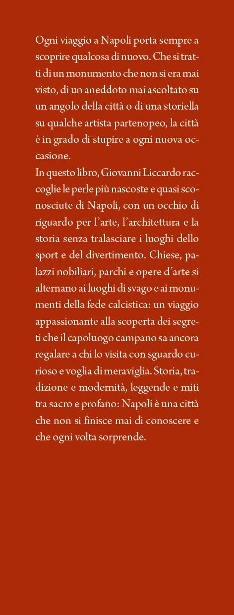 Alla scoperta dei segreti perduti di Napoli. Una guida imperdibile per conoscere le meraviglie nascoste della città partenopea - Giovanni Liccardo - 2