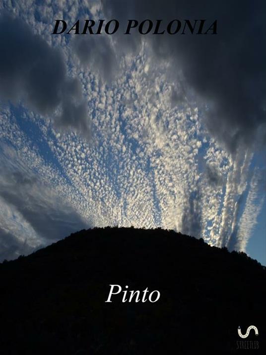 Pinto - Dario Polonia - ebook