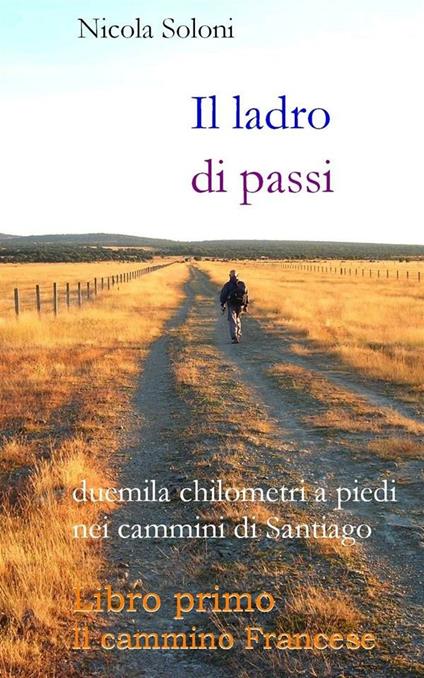 Il ladro di passi. Vol. 1 - Nicola Soloni - ebook