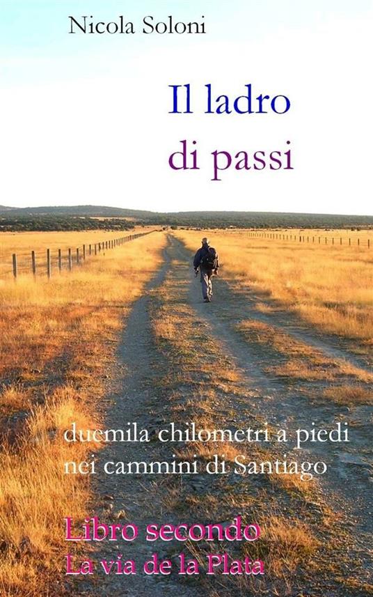 Il ladro di passi. Vol. 2 - Nicola Soloni - ebook