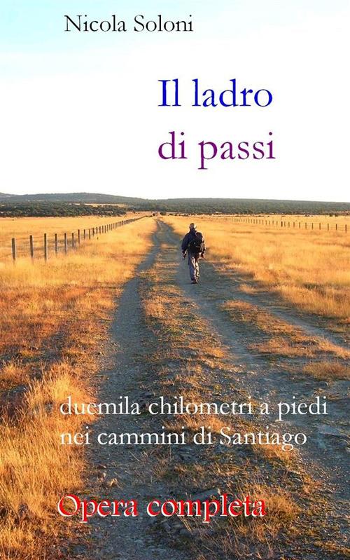 Il ladro di passi. Duemila chilometri a piedi nei cammini di Santiago - Nicola Soloni - ebook