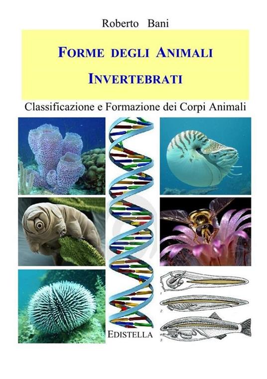 Forme degli Animali INVERTEBRATI - Bani, Roberto - Ebook - EPUB2 con Adobe  DRM | IBS