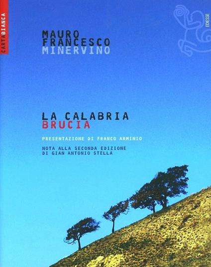 La Calabria brucia - Mauro F. Minervino - copertina