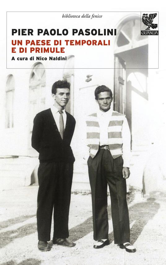 Un paese di temporali e di primule - Pier Paolo Pasolini - copertina