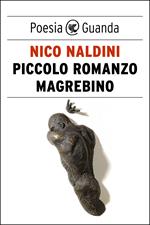 Piccolo romanzo magrebino