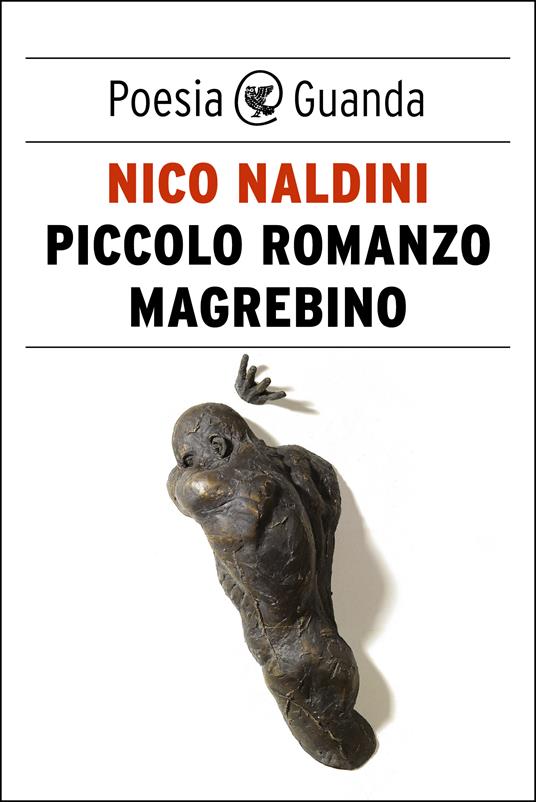 Piccolo romanzo magrebino - Nico Naldini - ebook