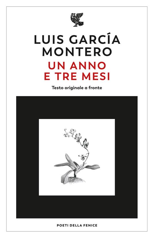 Un anno e tre mesi. Testo originale a fronte - Garcia Montero Luis - copertina