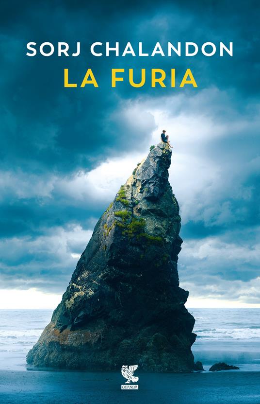 La furia - Sorj Chalandon - copertina