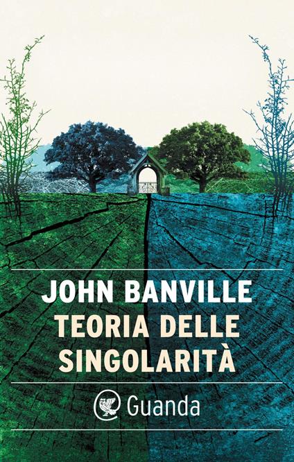 Teoria delle singolarità - John Banville,Irene Abigail Piccinini - ebook