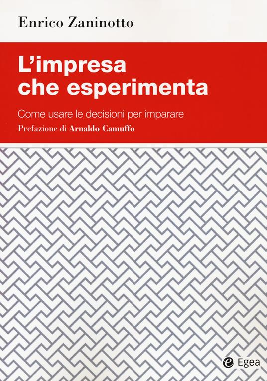 L' impresa che esperimenta. Come usare le decisioni per imparare - Enrico Zaninotto - copertina