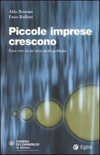 Piccole imprese crescono. Fare rete in un'area metropolitana - Aldo Bonomi,Enzo Rullani - copertina