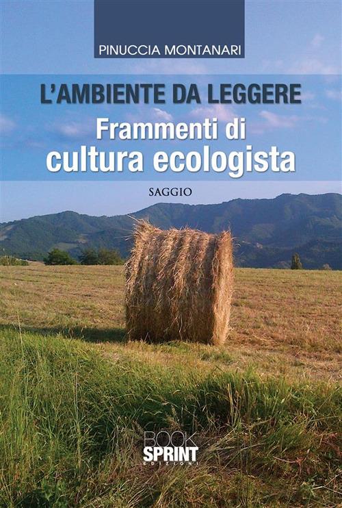 L' ambiente da leggere - Pinuccia Montanari - ebook