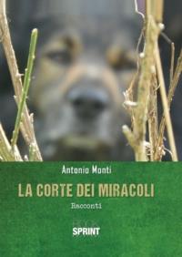 La corte dei miracoli - Antonio Monti - copertina