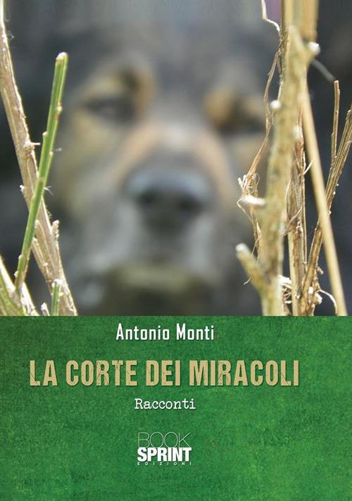 La corte dei miracoli - Antonio Monti - ebook