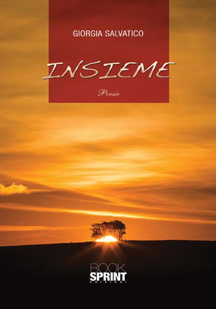 Insieme - Giorgia Salvatico - copertina