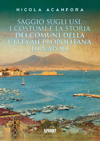 Saggio sugli usi, i costumi e la storia dei comuni della città metropolitana di Napoli - Nicola Acanfora - copertina