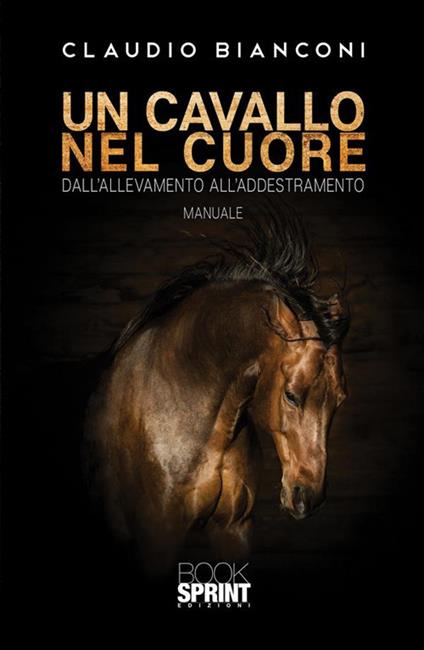 Un cavallo nel cuore. Dall'allevamento all'addestramento - Claudio Bianconi - ebook