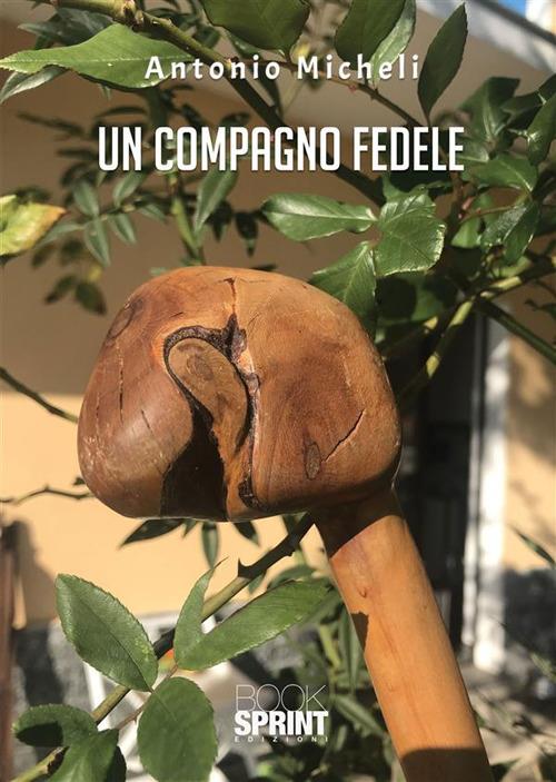 Un compagno fedele - Antonio Micheli - ebook