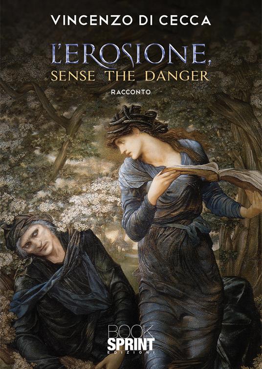 L' erosione. Sense the danger - Vincenzo Di Cecca - copertina