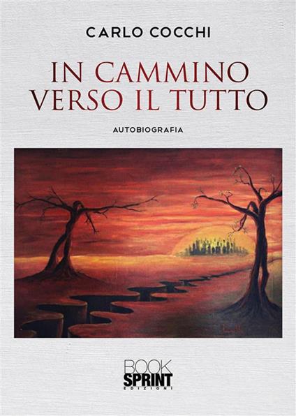 In cammino verso il tutto - Carlo Cocchi - ebook