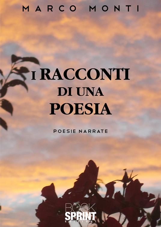 I racconti di una poesia - Marco Monti - copertina