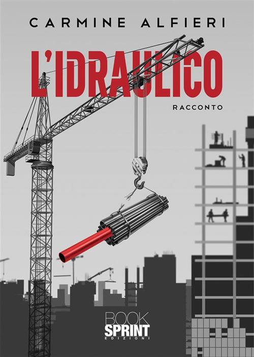 L' idraulico - Carmine Alfieri - copertina