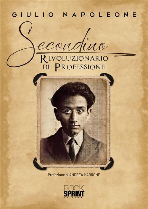 Secondino. Rivoluzionario di professione - Giulio Napoleone - ebook