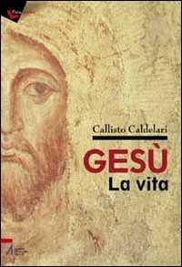 Image of Gesù: la vita. Biografia e pagine evangeliche per dubbiosi e non credenti