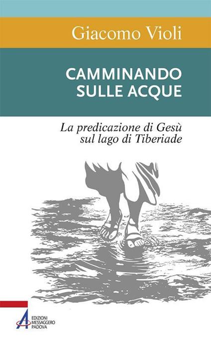 Camminando sulle acque. La predicazione di Gesù sul lago di Tiberiade - Giacomo Violi - ebook