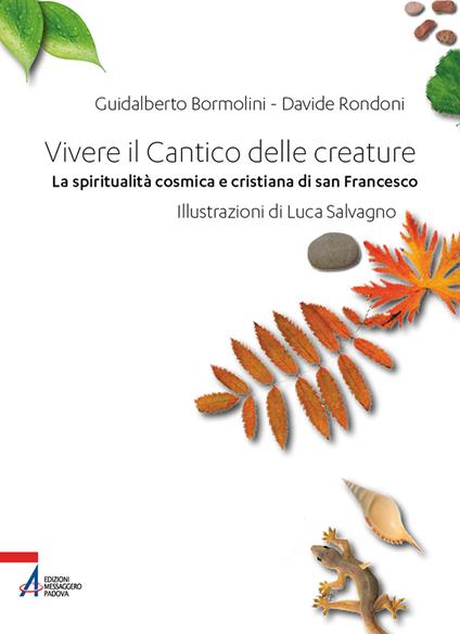 Vivere il Cantico delle creature. La spiritualità cosmica e cristiana di san Francesco - Guidalberto Bormolini,Davide Rondoni - copertina