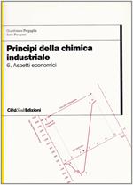 Principi della chimica industriale. Vol. 6: Aspetti economici