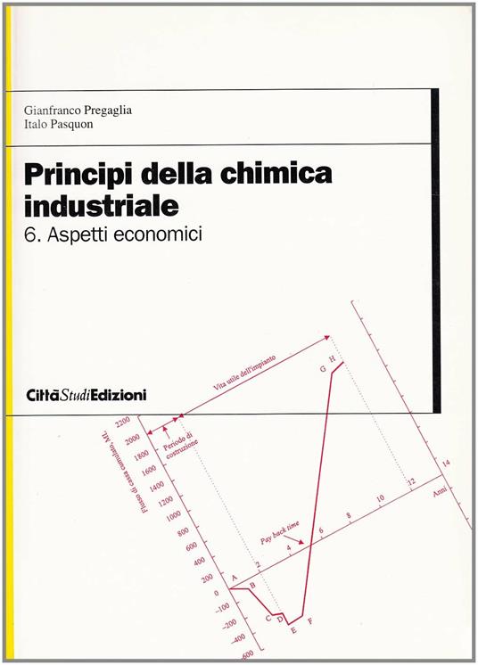 Principi della chimica industriale. Vol. 6: Aspetti economici - Italo Pasquon,Gianfranco Pregaglia - copertina