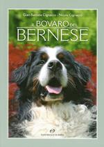 Il bavaro del bernese