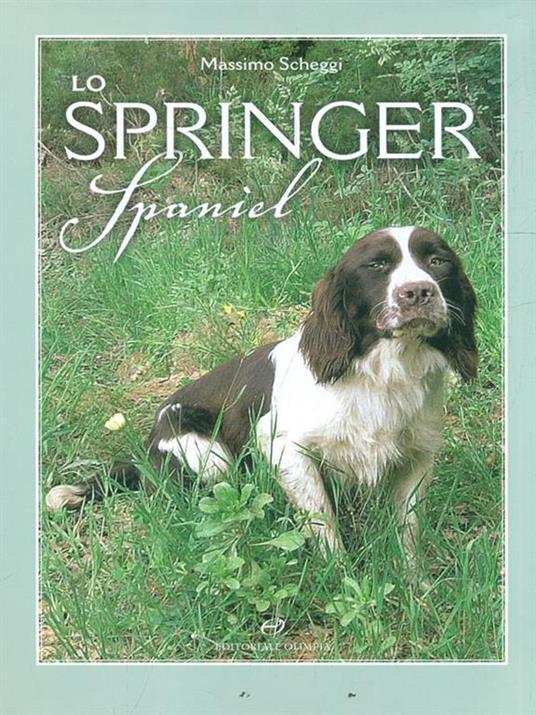 Lo springer spaniel - Massimo Scheggi - 4