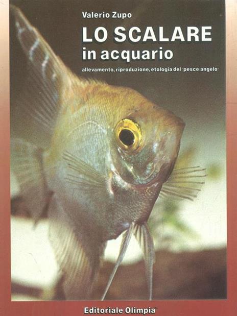 Lo scalare in acquario - Valerio Zupo - copertina