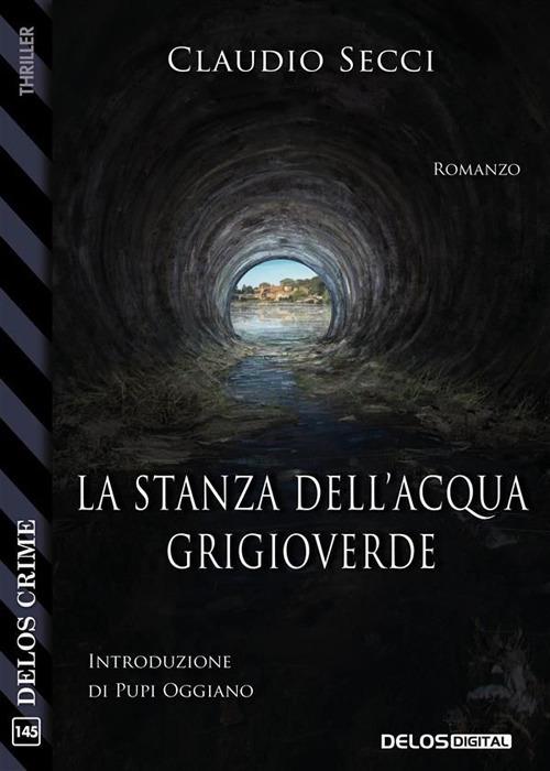 La stanza dell'acqua grigioverde - Claudio Secci - ebook