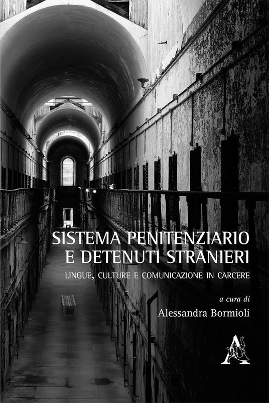 Sistema penitenziario e detenuti stranieri. Lingue, culture e comunicazione in carcere - copertina