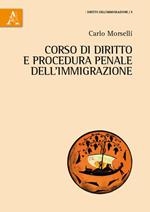 Corso di diritto e procedura penale dell'immigrazione