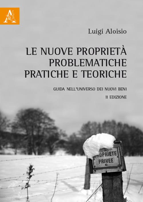 Le nuove proprietà, problematiche pratiche e teoriche. Guida nell'universo dei nuovi beni - Luigi Aloisio - copertina