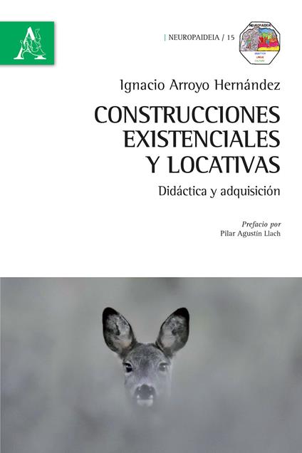 Construcciones existenciales y locativas. Didáctica y adquisición - Ignacio Arroyo Hernández - copertina