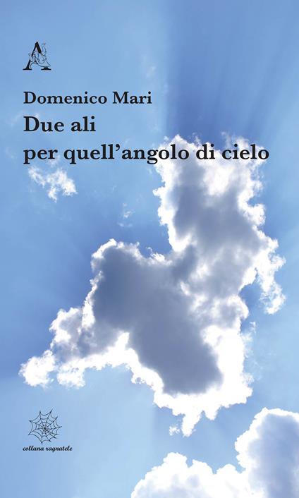Due ali per quell'angolo di cielo - Domenico Mari - copertina