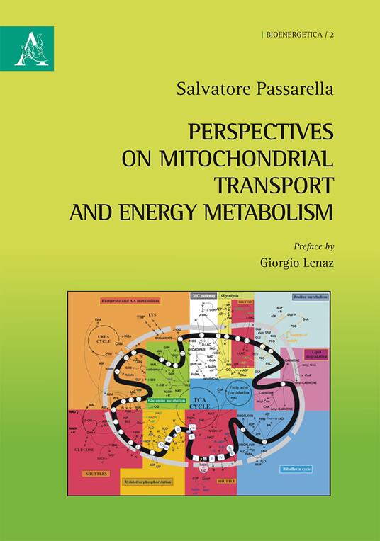 Perspectives on mitochondrial transport and energy metabolism - Salvatore Passarella - copertina