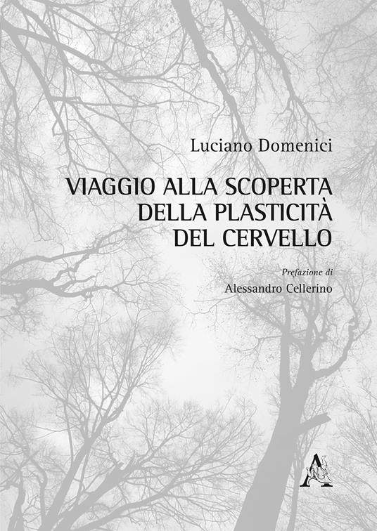 Viaggio alla scoperta della plasticità del cervello - Luciano Domenici - copertina