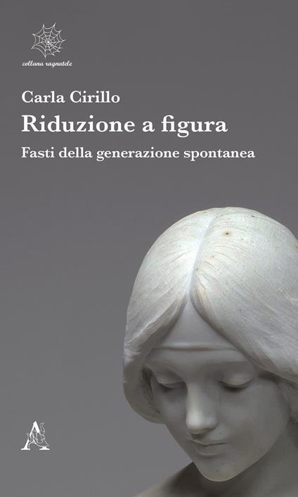 Riduzione a figura. Fasti della generazione spontanea - Carla Cirillo - copertina