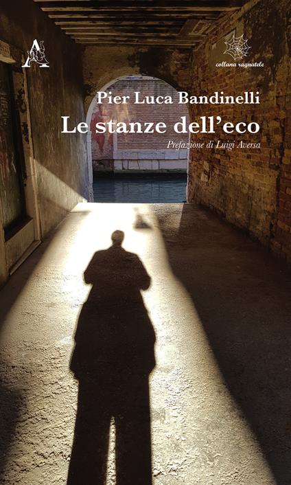 Le stanze dell'eco - Pier Luca Bandinelli - copertina