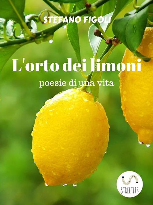 L'orto dei limoni - Stefano Figoli - ebook